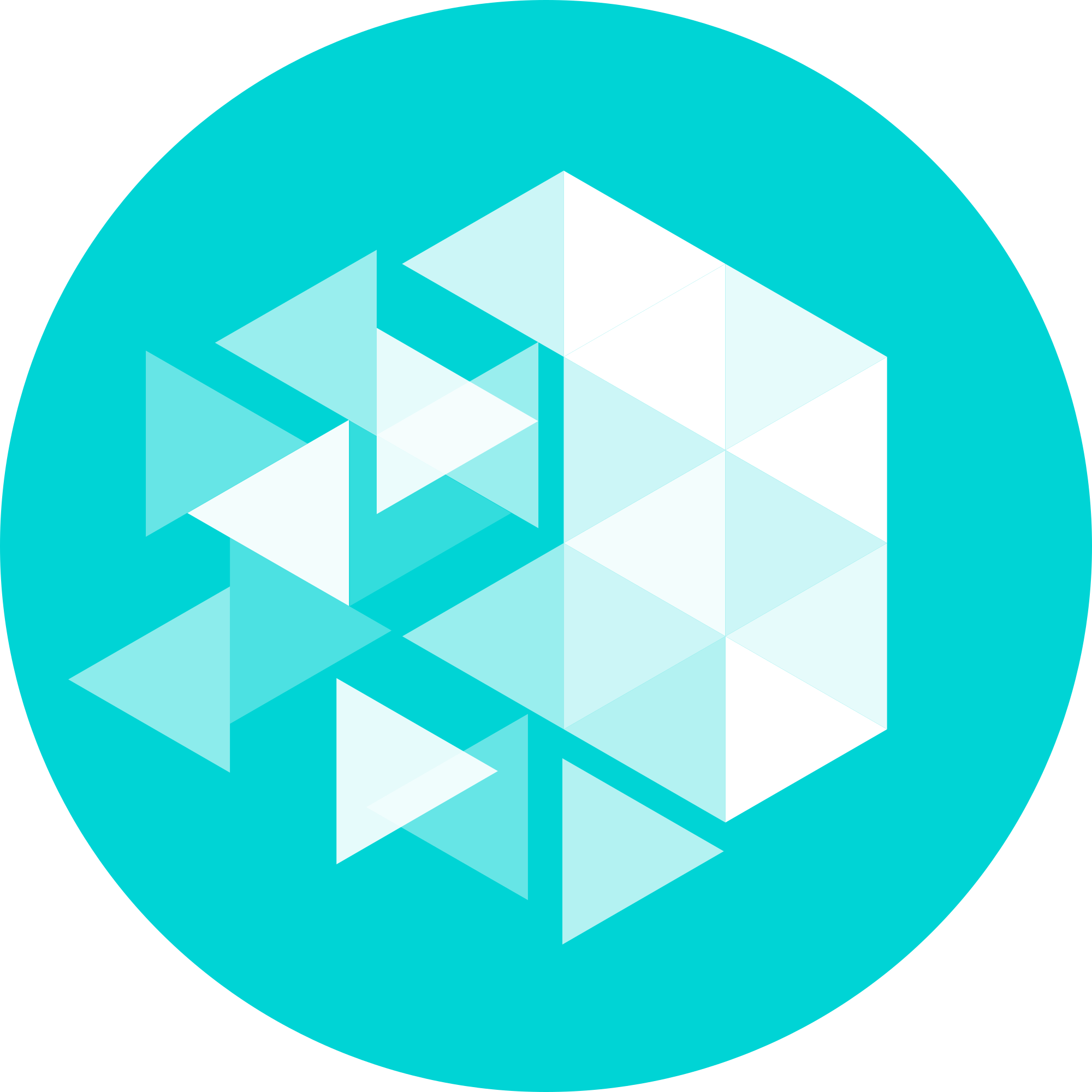 iotex network